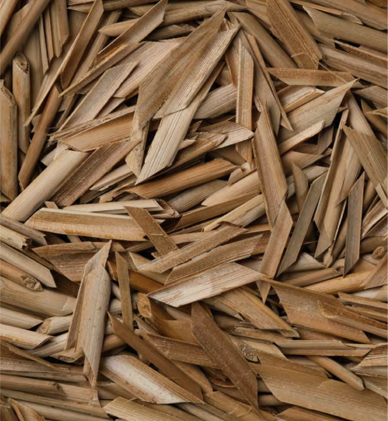 Rice Husk